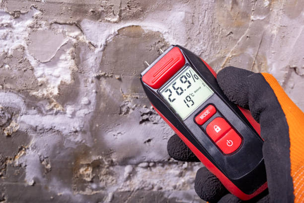 Best Crawl Space Mold Removal  in Tullytown, PA