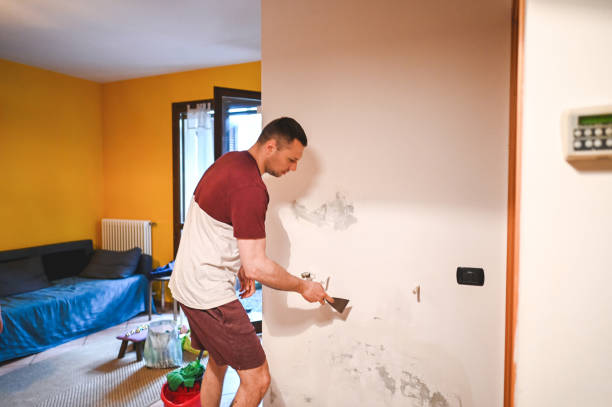 Best Local Mold Removal Service  in Tullytown, PA