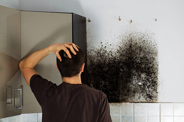 Tullytown, PA Mold Removal Company